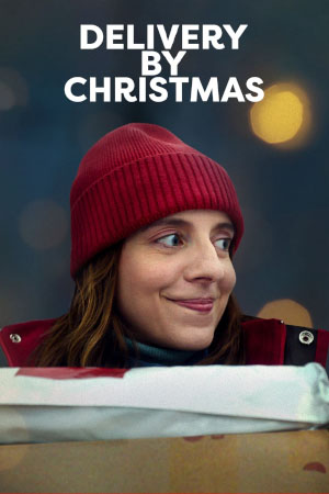 Download Delivery by Christmas (2022) WebRip [Hindi + English] ESub 480p 720p