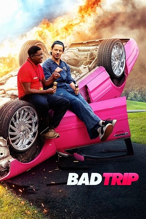 Download Bad Trip (2021) WebRip [Hindi + English] ESub 480p 720p