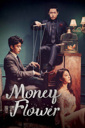 Download Money Flower (2017) Season 1 WebRip Hindi Dubbed S01 ESub 480p 720p - Complete