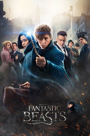 Download Part 1 Fantastic Beasts and Where to Find Them (2016) BluRay [Hindi + Tamil + Telugu + English] ESub 480p 720p 1080p - Full Movie