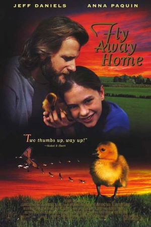 Download Fly Away Home (1996) BluRay [Hindi + Tamil + English] ESub 480p 720p - Full Movie