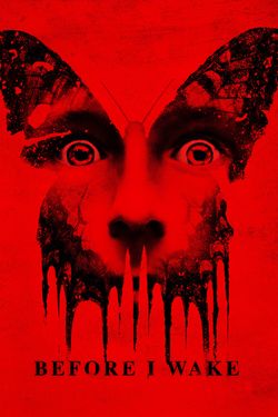 Before I Wake (2016) BluRay Hindi - Multi Audio 480p 720p 1080p Download - Watch Online