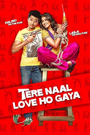 Download Tere Naal Love Ho Gaya (2012) WeabRip Hindi 480p 720p